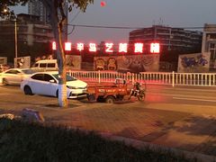 -舒小笼松针小笼包