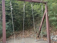 -石老人观光园