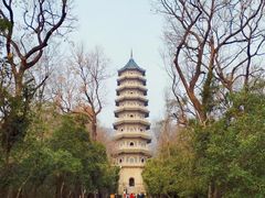 -灵谷景区