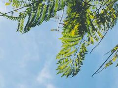 -幸福里时光餐吧