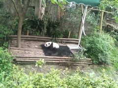 -拖板鞋咖啡旅行酒店(春熙路地铁站店)