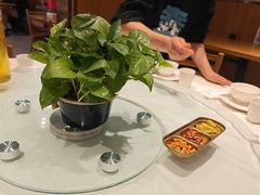 -九老汉·川渝江湖菜(合川路2店)
