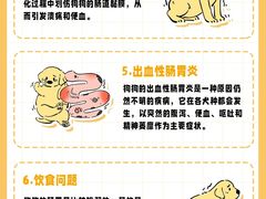 -申普宠物医院·心脏介入·心血管微创(总院)