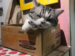 -小时光咖啡馆(开森度假森林店)