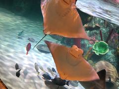 -沈阳海洋探索中心