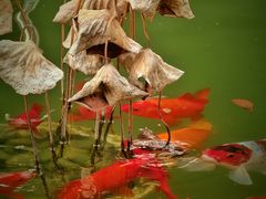 -上海商业会计学校(迎勋路)