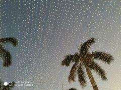 -Let's Relax Spa(Phuket 3rd Street)