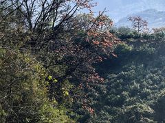 -颛顼龙洞旅游景区