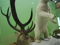 -国家自然博物馆