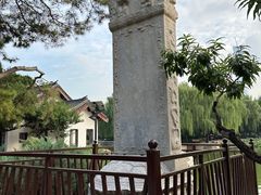 -团结湖公园