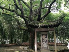 -兰亭风景区