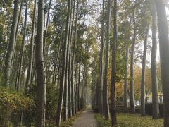 -仁和公园(顺义区)