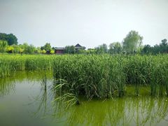 -晋祠公园