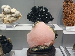 -湖南省地质博物馆
