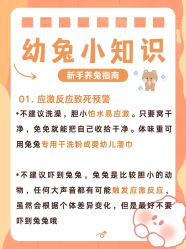 -神奇动物撸宠馆·羊驼·小浣熊·异宠(豫园店)