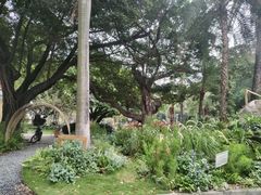 -垂虹公园