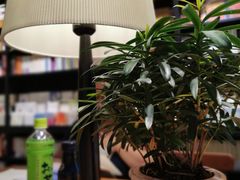 -西西弗书店&矢量咖啡(凯德晶萃广场店)