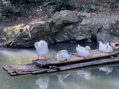 -兰亭风景区