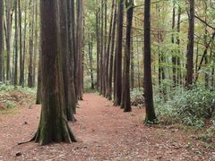-波尔登森林公园