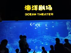 -郑州海洋馆