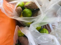 -前小桔亲子创意农场·草莓采摘·露营烧烤