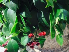 -三旗百汇商品城