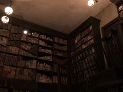 -哈利波特魔法世界