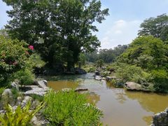 -东莞植物园