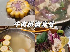 -手选潮汕鲜活牛肉火锅(二七广场店)