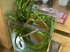 -滇牛云南火锅(桂林路店)