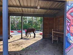 -前小桔亲子创意农场·草莓采摘·露营烧烤