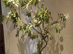 -百富源·海鲜辽菜(张士店)