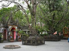 -西双版纳傣族园