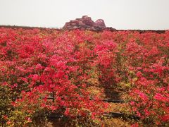 -西海岸生态观光园