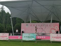 -东平国家森林公园