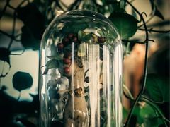 -重庆北碚万达广场