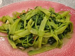 -六婶西关小厨(光塔路店)