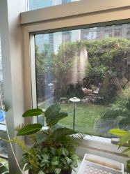 -初心はつ こころ日式美甲美睫沙龙