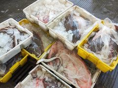 -吕四渔港码头海鲜餐厅