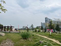 -桂溪生态公园