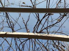 -南京中医药大学(仙林校区)