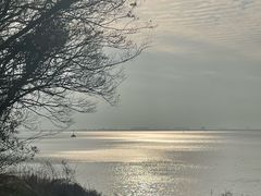 -天鹅湖体育公园
