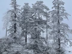 -瓦屋山景区