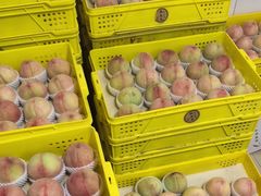 -老袁家蜜桃农场·阳山水蜜桃