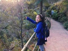 -悉尼蓝山三姐妹峰