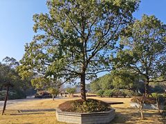 -陶祖圣境风景区