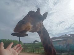 -鄂尔多斯野生动物园