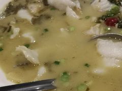泡椒酸菜鲈鱼-红棉中餐厅·广州海航威斯汀酒店