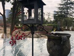 -白塘生态植物园