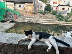 -环秀楼(黄山呈坎店)